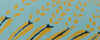 KX^NtB}[LO